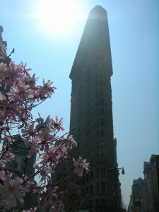 DSCN3099