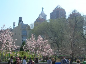 DSCN3100