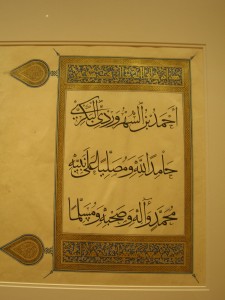 DSCN3131