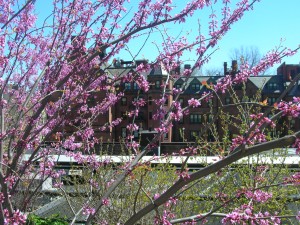 DSCN3315