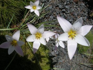 DSCN3320