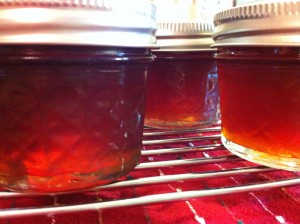 Jelly!