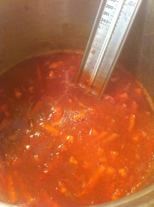 Cooking the marmalade. The thermometer is to check the temperature. Ideal jelling comes at 220F.
