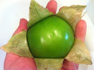 The perfect tomatillo.