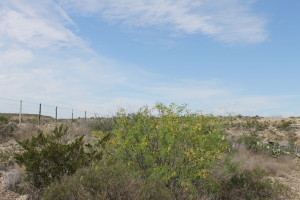 At a rest stop in the middle of nowhere. We were switching drivers.