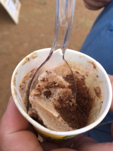 Chocolate goat milk ice cream. It had the texture of ice milk.
