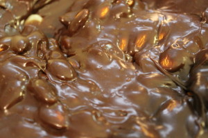 Fudge and almonds. I like to mix in the almonds at this stage because they will be more evenly distributed and they help to cool the fudge.